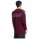 Adidas Ανδρική μακρυμάνικη μπλούζα Stadium Jersey Long-Sleeve T-Shirt